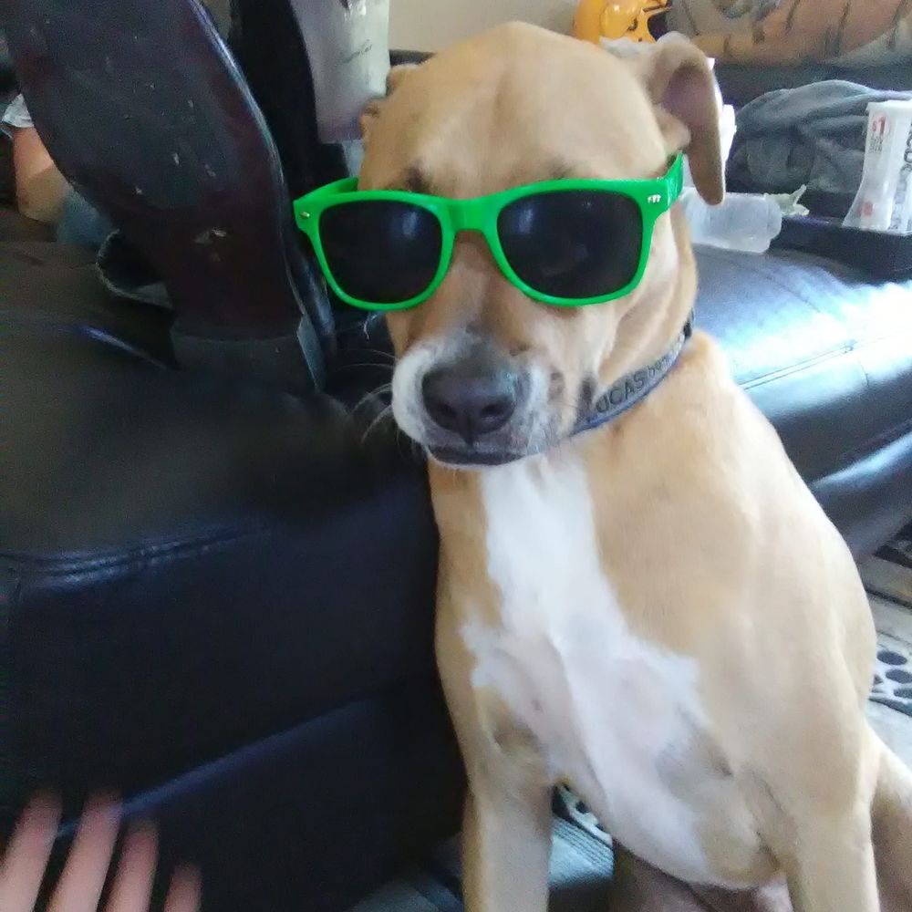 Meet your Posher, Kim